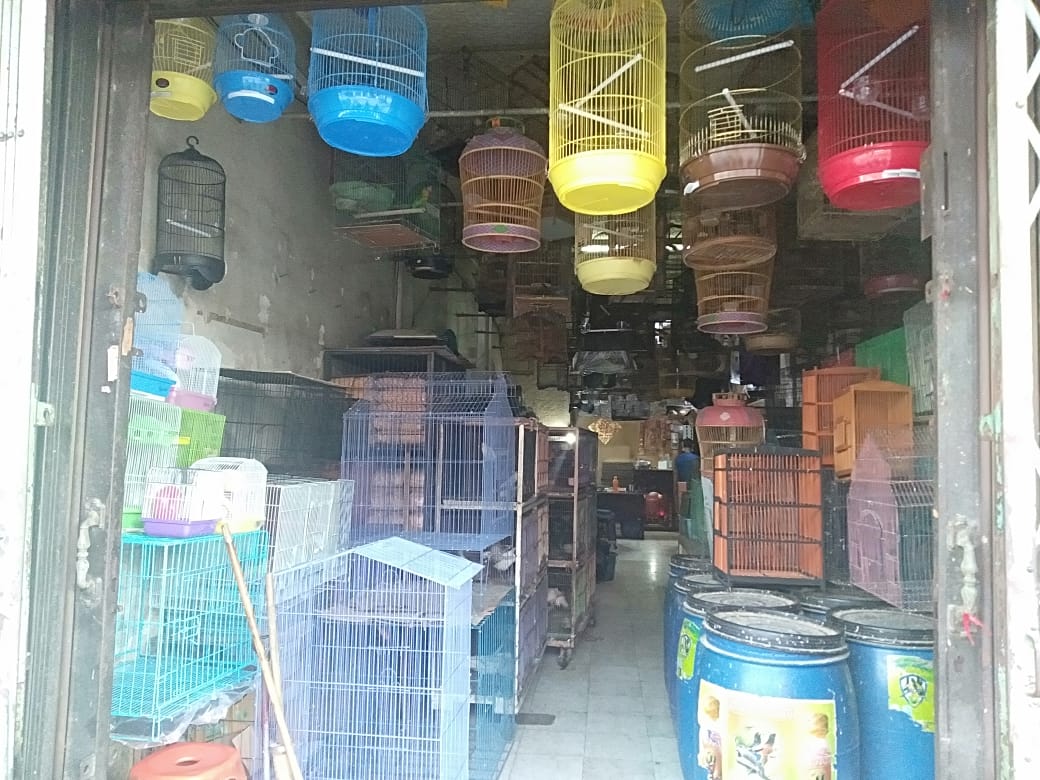 Hobi Antarkan Lai Hok Jadi Pengusaha Burung Puluhan Tahun